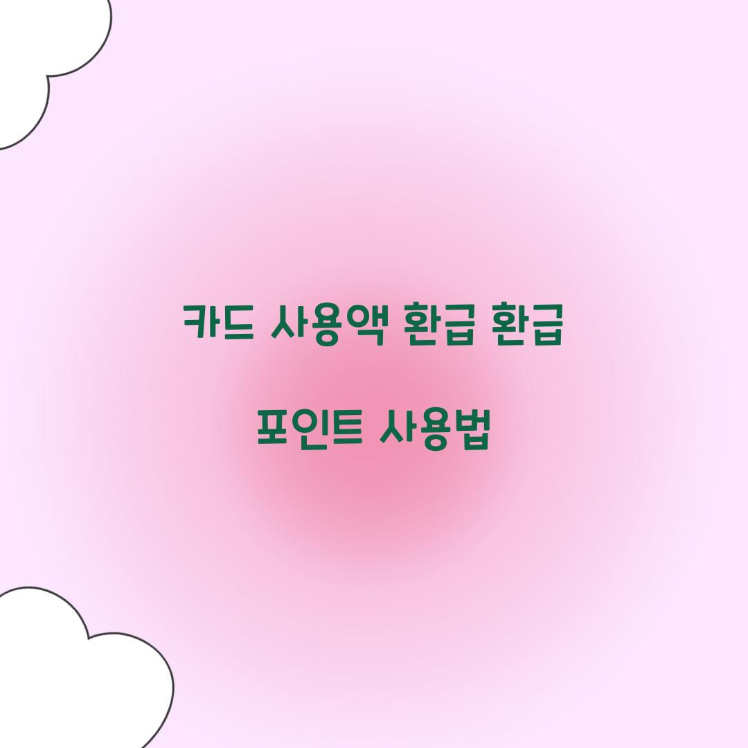 카드 사용액 환급 환급 포인트 사용법
