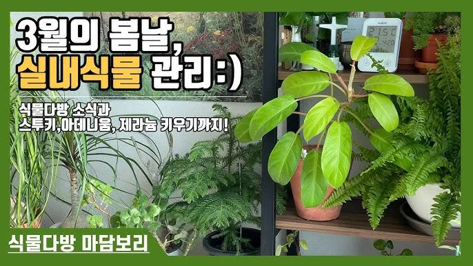 "장마철