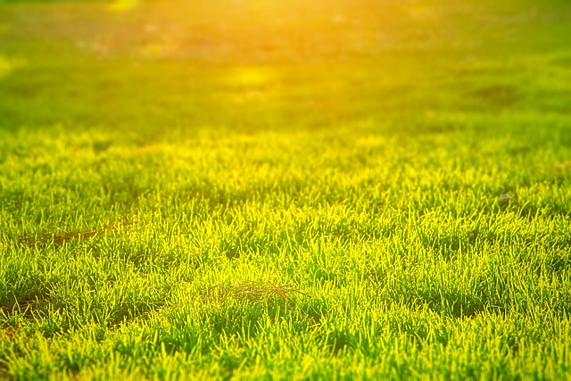 6월에 나들이하기 좋은 수도권 야외코스 : 공원, 호수, 걷기
