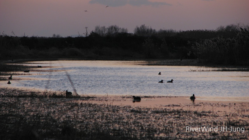 날저무는강변풍경