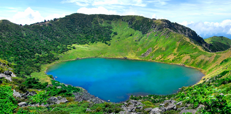 사전 신청 방법과 준비물까지 완벽 가이드