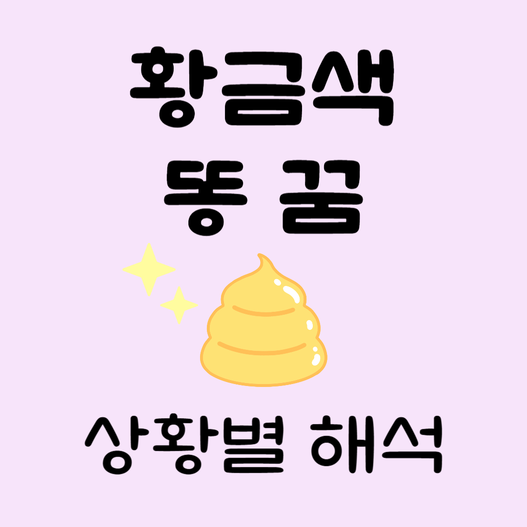 황금색똥꿈해몽