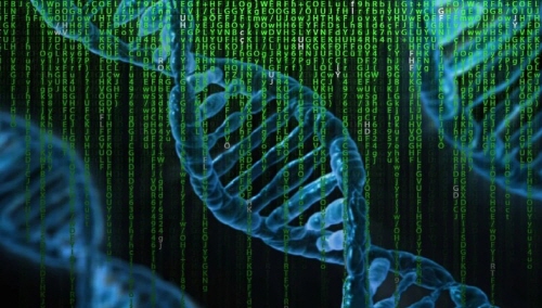 친자확인 유전자검사 비용 / 기관 / 기간 / 검체 / 신청방법 / 서류