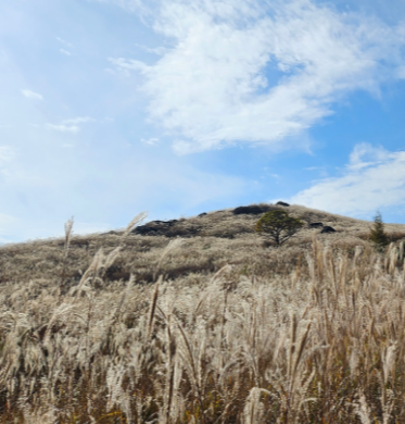 포천 산정호수 명성산 억새꽃축제