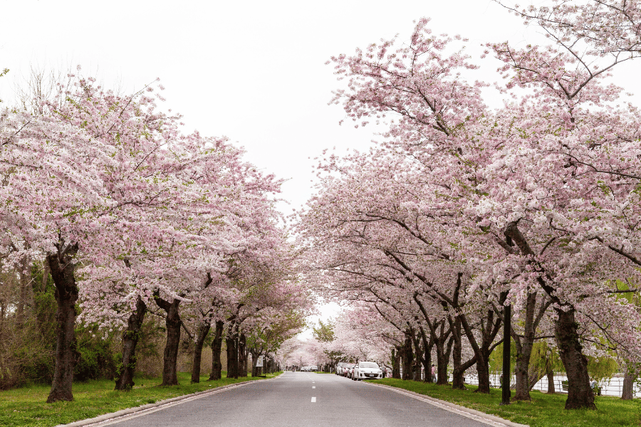 여행 사진 잘 찍는 스마트폰 앱 추천 TOP 5