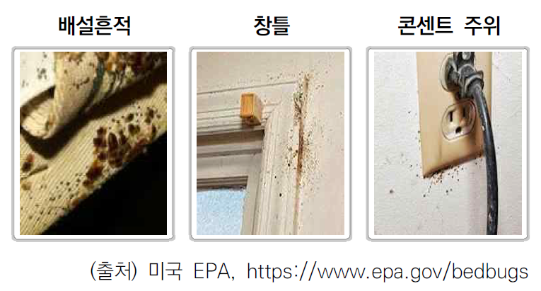 서울시 빈대 예방 및 관리 안내서