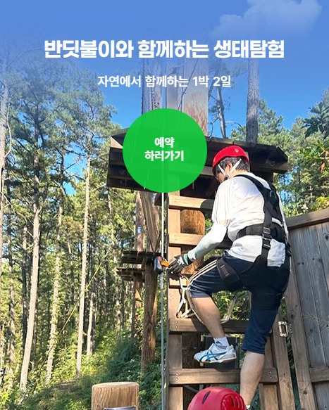 무주반딧불축제