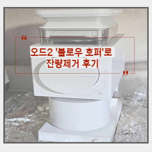 리뷰 썸네일
