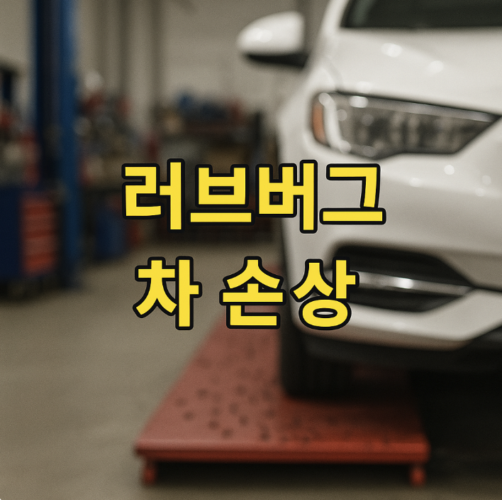 러브버그 자동차 손상