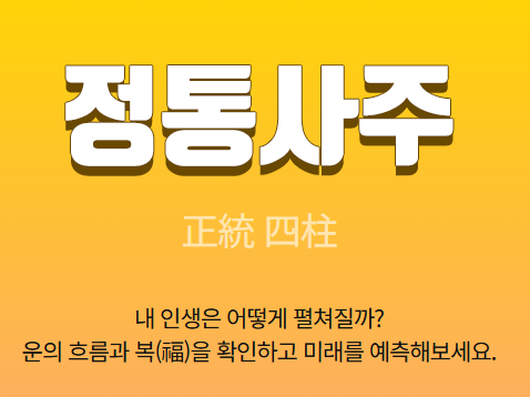 무료 사주 풀이 도우미 사이트