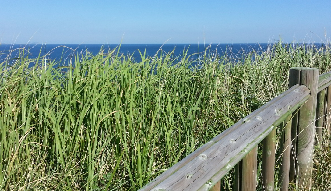 주말에 가기 좋은 비밀 산책길