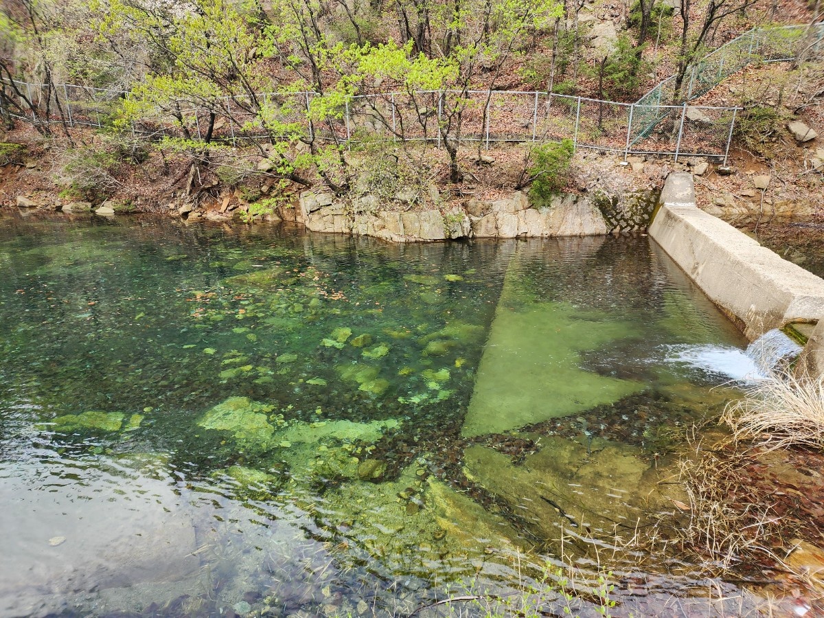 안양 수목원 이미지 사진