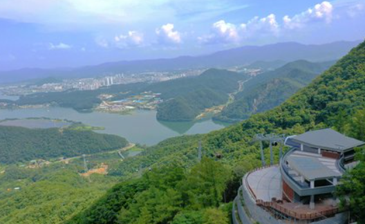 춘천 남이섬 산책과 액티비티 총정리: 가족·연인 여행 추천 코스