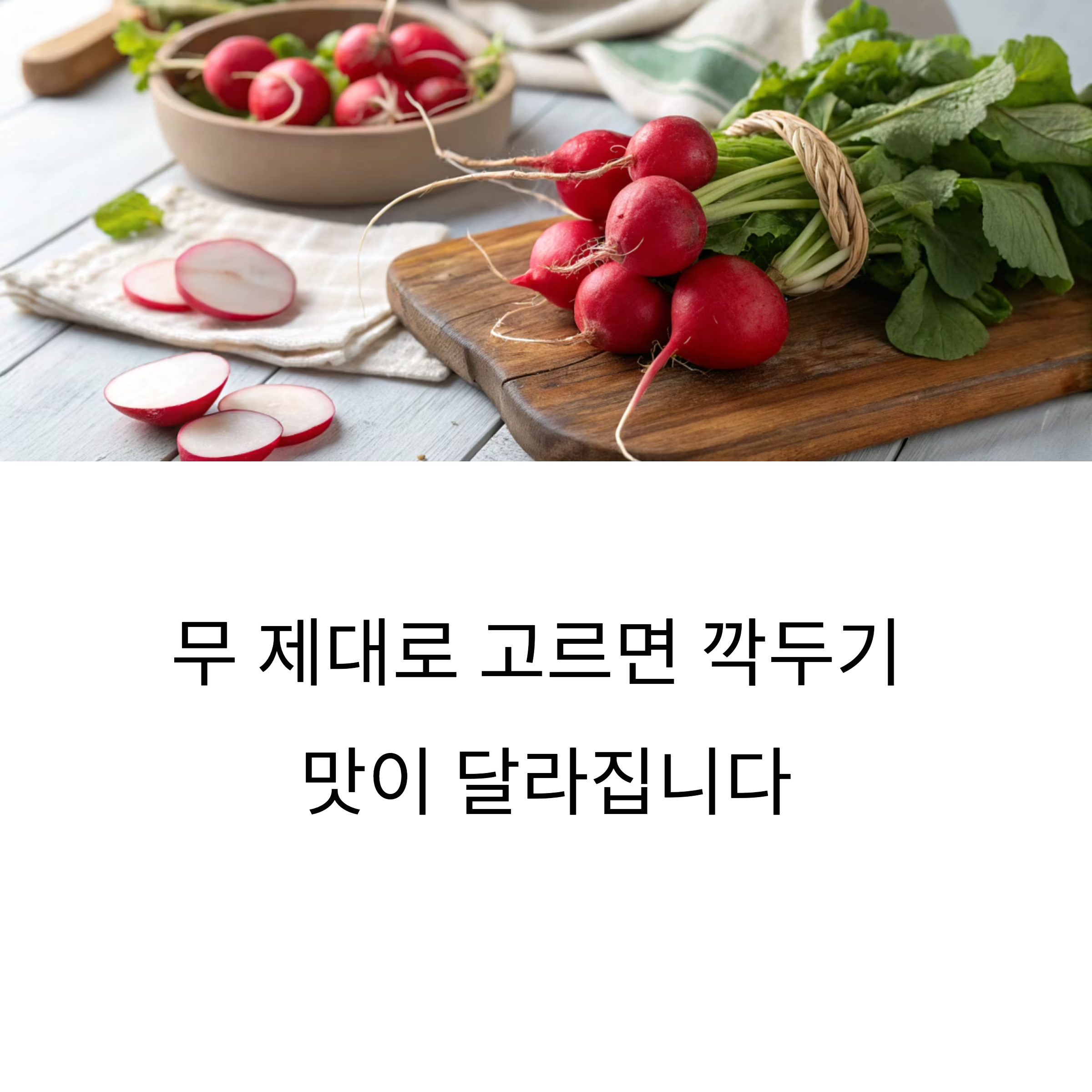깍두기 맛 살리는 무 선택법, 이 조건만 기억하세요!