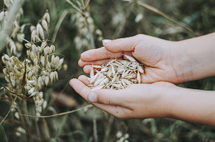 카무트 효소 내돈내산 후기