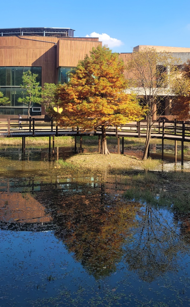 물향기 수목원 단풍 현황