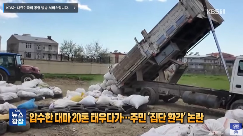 대마초 소각 사건