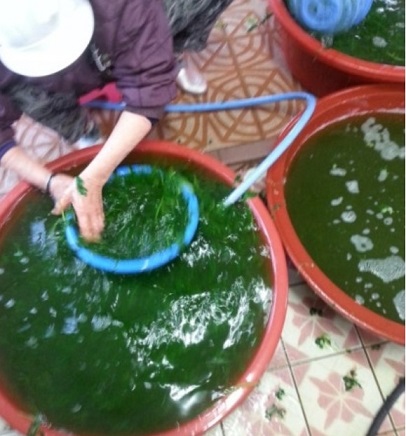 제주도-쑥떡-김녕남문떡방앗간