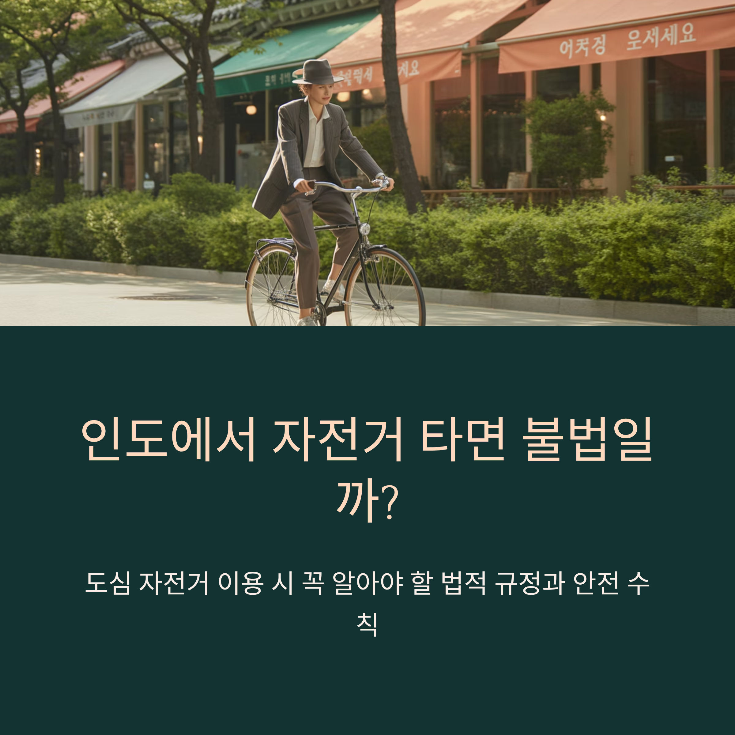 인도에서 자전거 타면 불법일까?