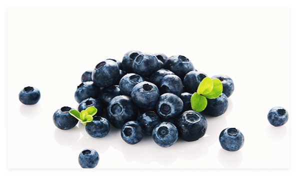 블루베리-효능-효소
