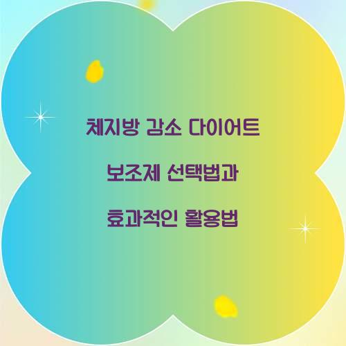 체지방 감소 다이어트 보조제 선택법