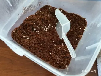 펄라이트 흙 배합 통기성향상 과습방지 실내식물 건강 업그레이드_12