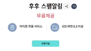 KT 부가서비스