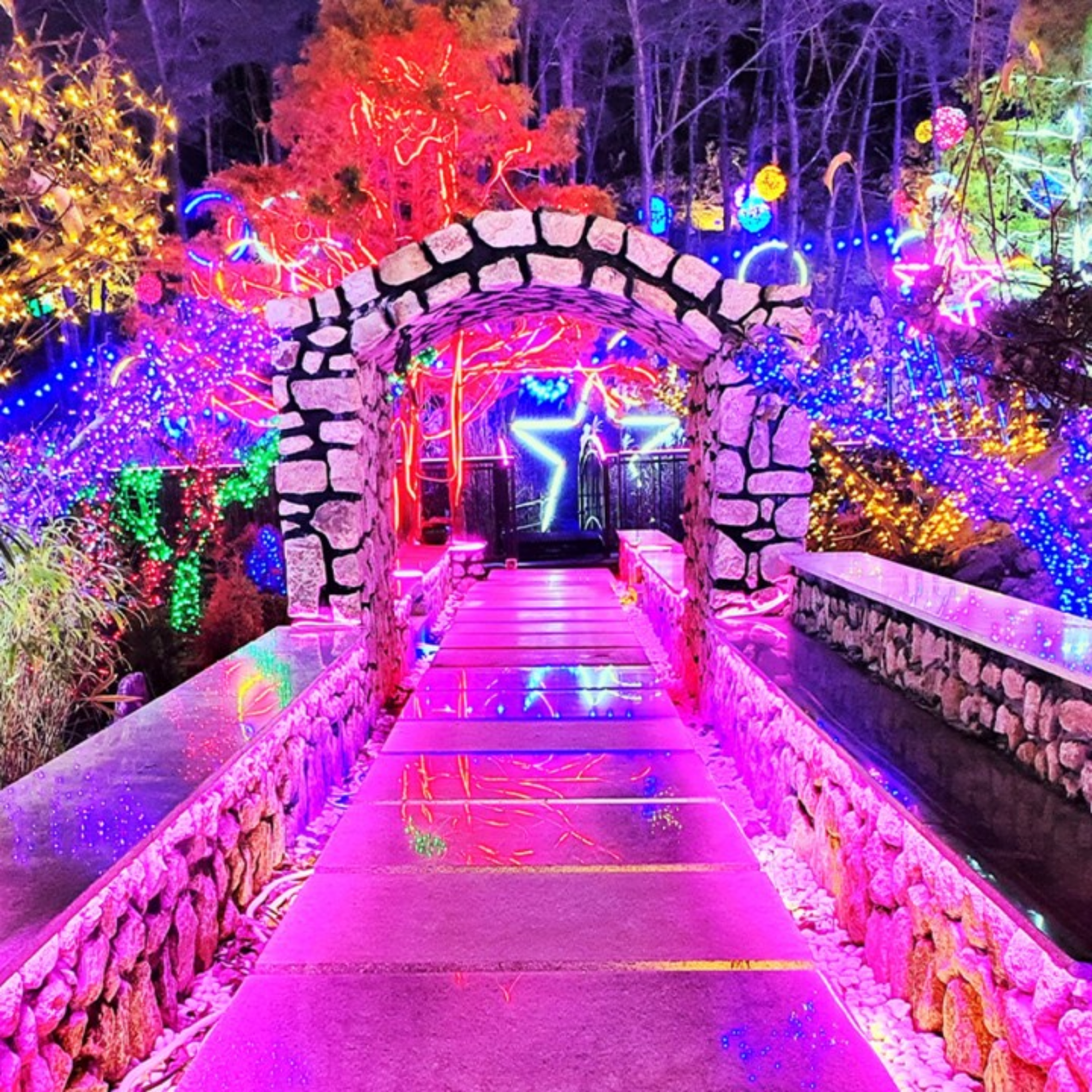 숲속애-빛의정원-전경