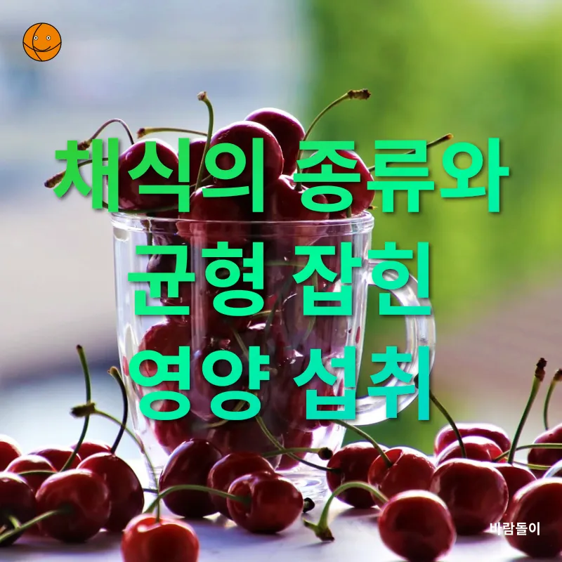 채식주의 생활_1