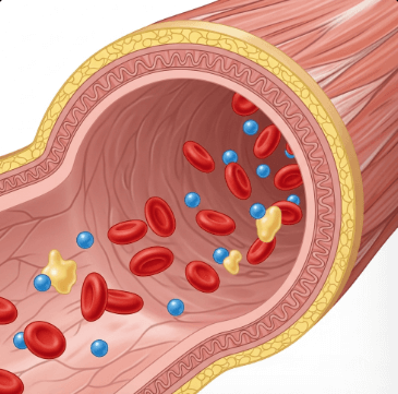 포도당 수치 낮추는 방법2