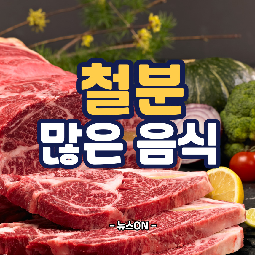 철분 많은 음식
