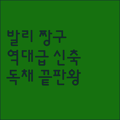 아이와 가기 좋은 발리 짱구 신축 호..