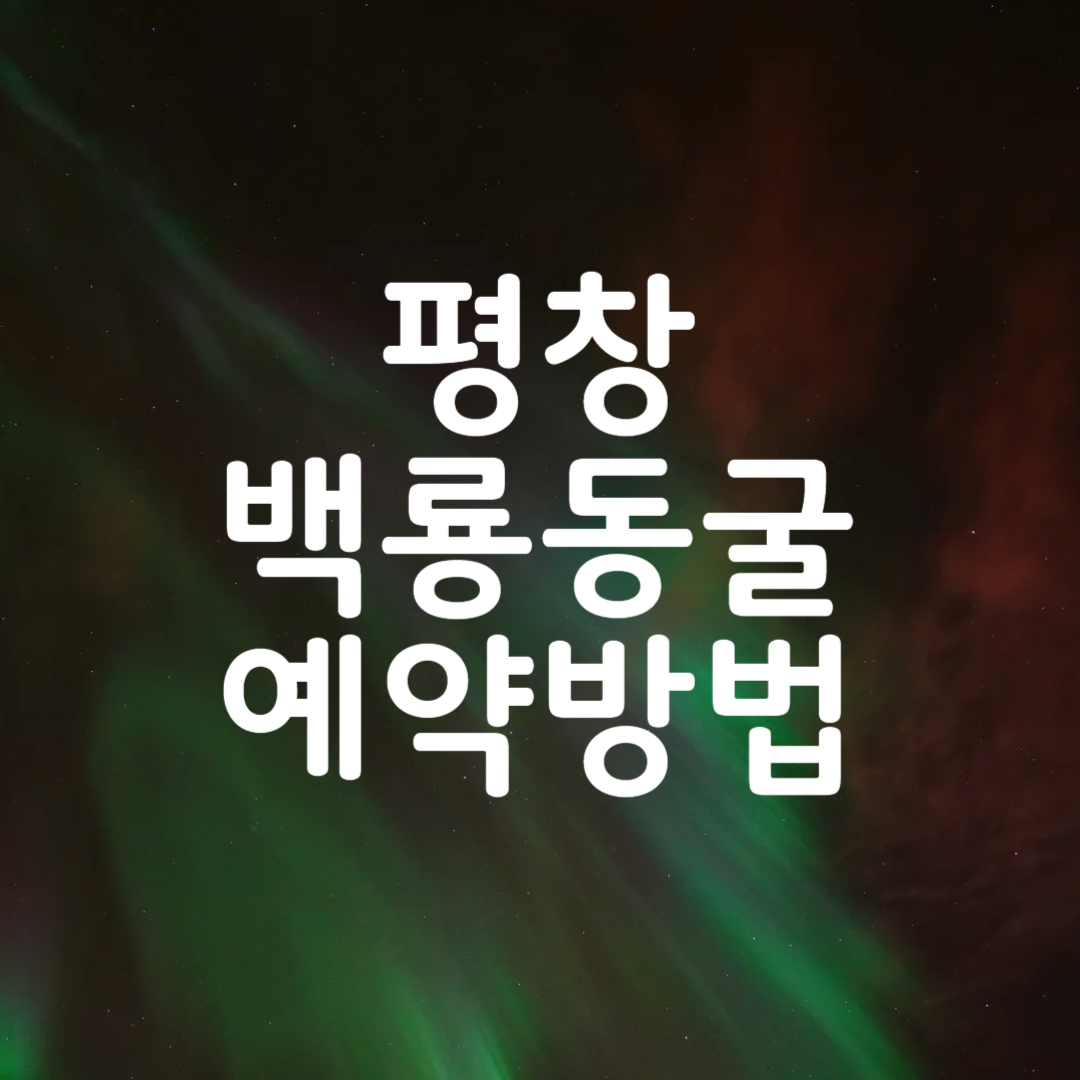 평창 백룡동굴 예약 방법