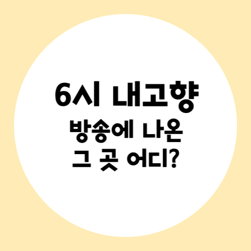 6시 내고향