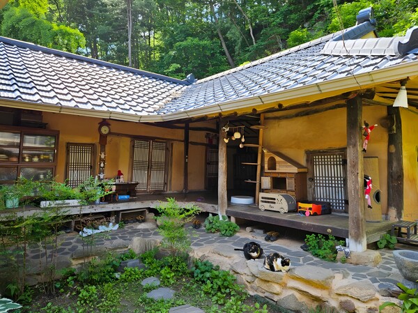 시골바캉스 숙소 그림 자료