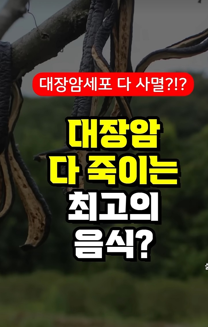 대장암-좋은-음식