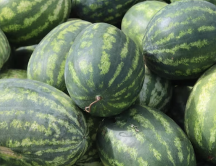 수박 고르는법
