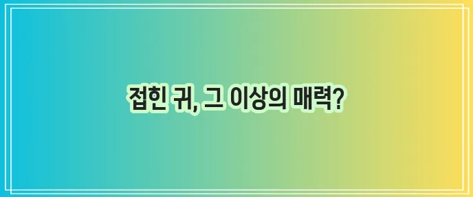 스코티시 폴드 정말 매력적인 고양이 품종이네요!