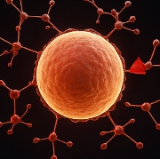 폐경기 전조증상