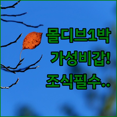 몰디브 리조트 가기 전 1박 하기 좋..
