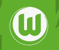 분데스리가 블푸스부르크엠블럼