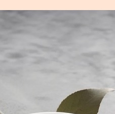 입술 포진 빨리낫는법