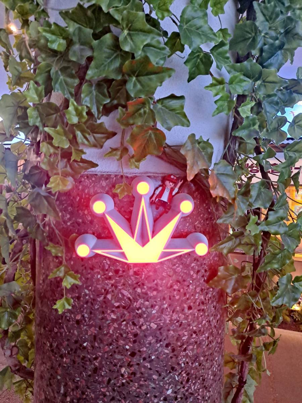 금성전파사 로고