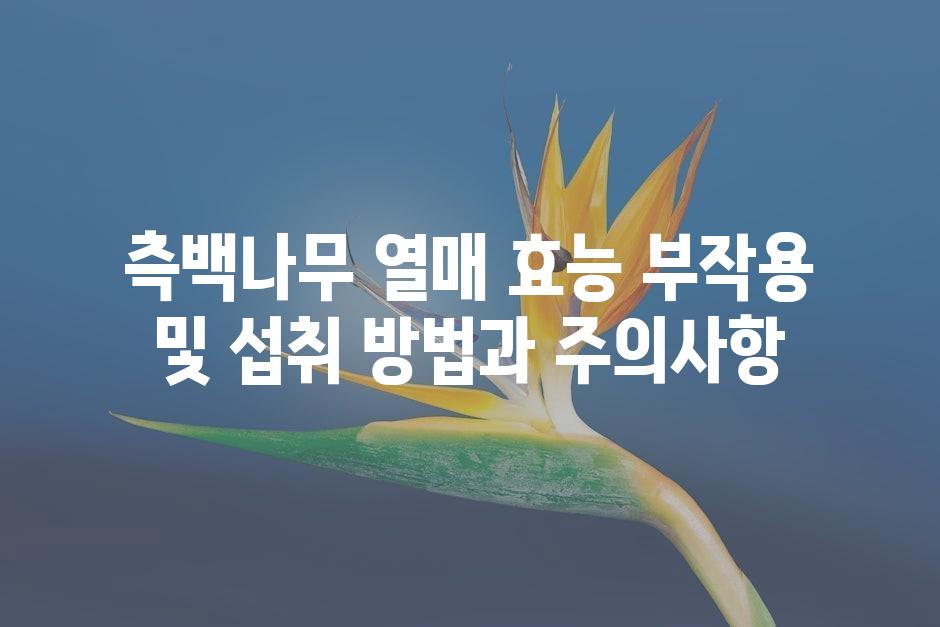 샘플 (45)