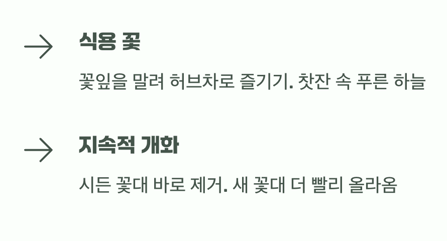 수확의 기쁨, 꽃차부터 장식까지