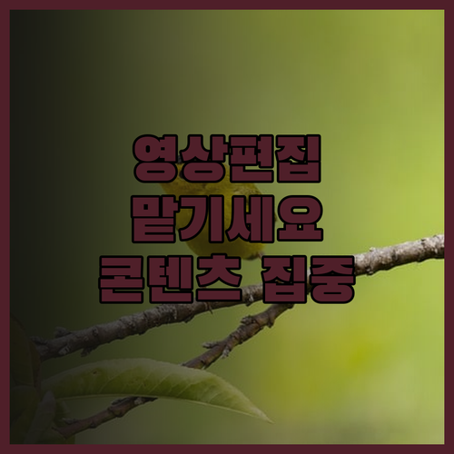 영상 편집, 이제 전문가에게 맡기고