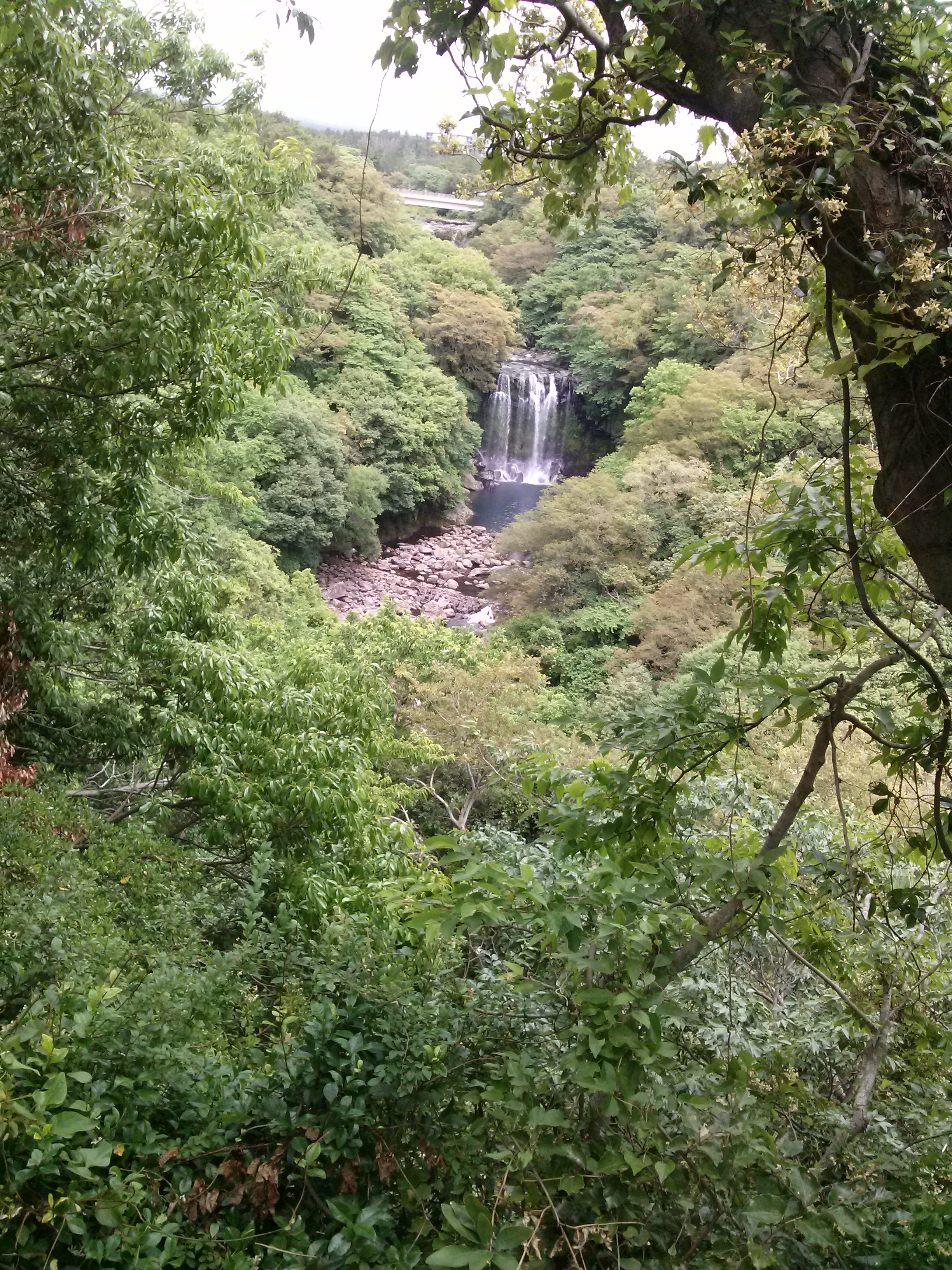 천제연폭포(Cheonjeyeon Pokpo Falls)