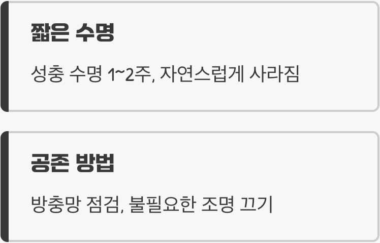 짧은 만남, 그리고 이별