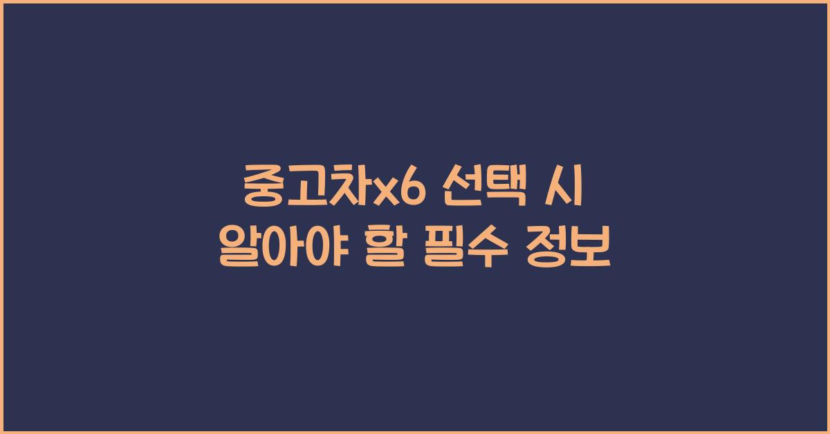 중고차x6