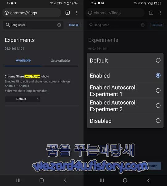Chrome Share Long Screenshots